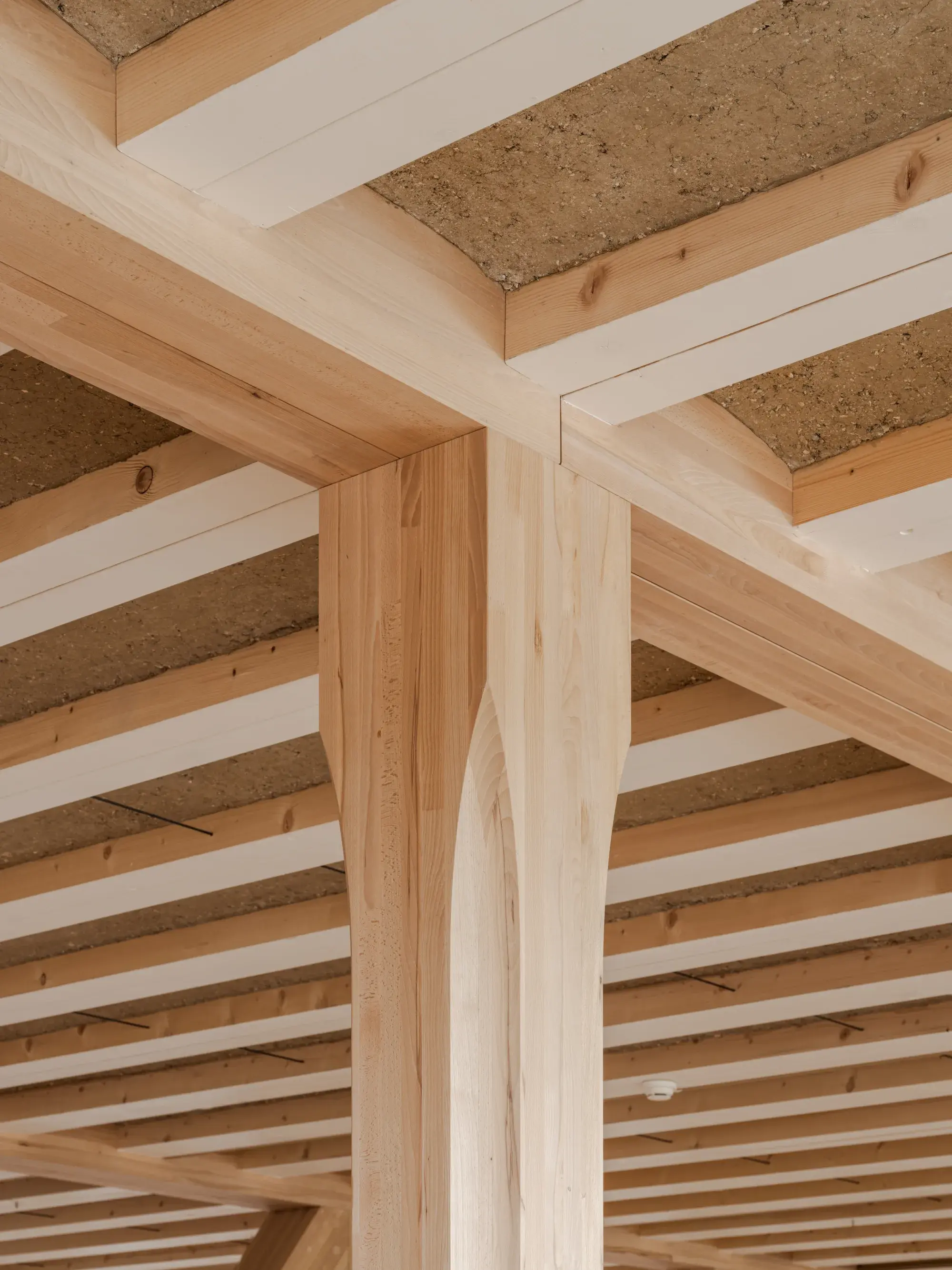 HORTUS Allschwil – Holz-Lehm-Decke im Detail